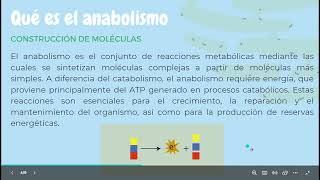 Catabolismo y el Anabolismo celular BIOLOGIA [upl. by Atilrep402]