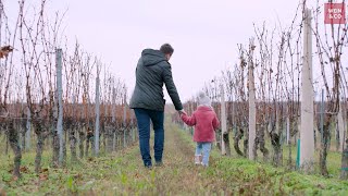 WEIN amp CO zu Gast bei Weingut Kerschbaum [upl. by Ardnola]