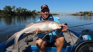 How to Catch Threadfin Salmon Hopping a Kamikaze Stickbait [upl. by Lipp]