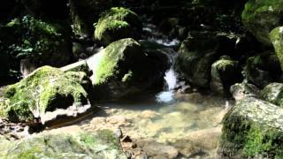 Teufelsschlucht Wandern mit FB Kollegeninnen [upl. by Bartlet6]