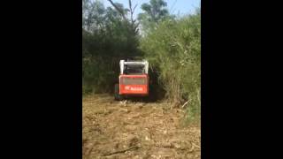 Bobcat Forestry Mulcher [upl. by Nnylf]