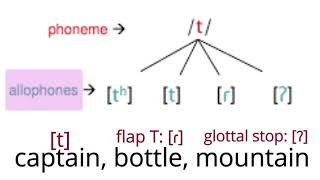 American phonemes and the concept of allophones [upl. by Aslehc]