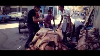 Reportage  Aid Aladha 2013  روبورطاج حول عيد الأضحى 2013 [upl. by Lette196]