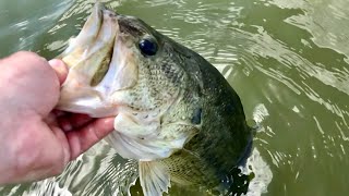 Taking my Girlfriend Bass Fishing for the FIRST TIME in Wisconsin [upl. by Alaster]