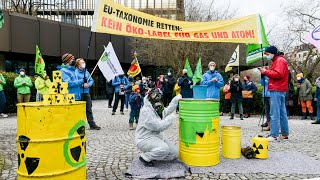 Webinar So stoppen wir das Greenwashing von Atom amp Gas [upl. by Zahc944]