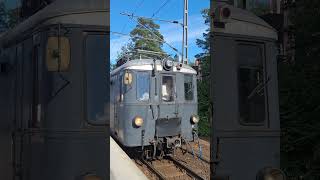 X2P Roslagsbana veteran train honks at Näsbypark [upl. by Julienne]