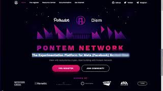 Pontem Testnet Guide [upl. by Leahplar]