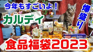 大勝利！【カルディ福袋2023】4500円の食品福袋中身が今回もすごかった！総額いくらだったか猫と一緒に見てみよう！【福袋紹介】 [upl. by Thedric]