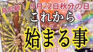 【超重要😳❗️】9月22日秋分の日以降あなたに始まる事🌈個人鑑定級タロット占い🔮⚡️ [upl. by Basset]