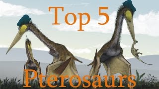 Top 5 Pterosaurs [upl. by Michaeline]