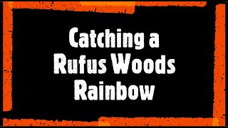 Catching a NICE Rufus Woods Triploid Rainbow 🐟 rufuswoodstriploid rufuswoods bigtrout [upl. by Nehtanoj]