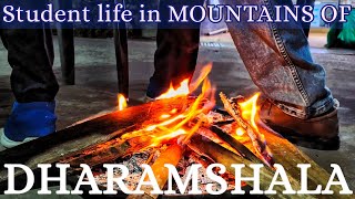 COLD DAYS IN MOUNTAINS OF DHARAMSHALA HIMACHAL PRADESH  MOUNTAIN VLOGS [upl. by Corrina]