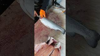 Professional filleting and skinning of salmon or trout [upl. by Ellessig]