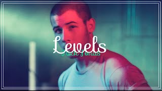 Nick Jonas  Levels Deutsche Übersetzung [upl. by D'Arcy]