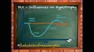 How SRA Curves Influence Training For Hypertrophy [upl. by Lig]