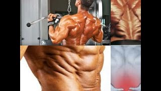 Best Bodybuilding Exercises for Lower Back Pain Relief The Ultimate Thoracic Lumbar Fascia Workout [upl. by Oramug]