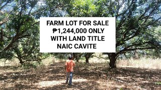 Cheapest Farm Lot in Cavite with Title na Pwedi sa Bank Financing [upl. by Christal]