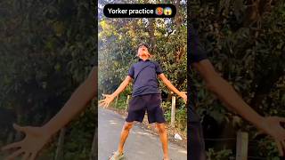 Yorker ball tips 🥵😰 cricket cricketlover bowling trending yorker shorts foryou [upl. by Three110]