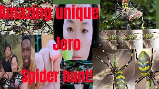 Amazing unique Joro spider hunt Cook amp eat [upl. by Marlowe]