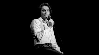 Neil Diamond  Morningside lyrics [upl. by Marzi]