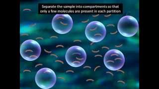 Digital PCR explained in 2 minutesmust watch [upl. by Nennarb400]