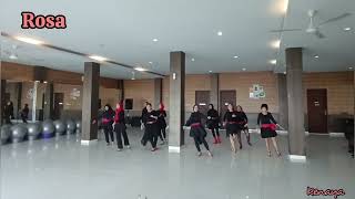 Rosa Line Dance [upl. by Houghton]