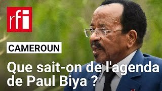 Paul Biya est de retour au Cameroun • RFI [upl. by Assirec274]