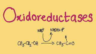 What is an Oxidoreductase  MCAT Biochemistry [upl. by Lihas]