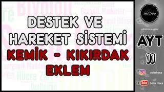 13 Destek ve Hareket Sistemi Kemik  Kıkırdak  Eklem [upl. by Anastatius]