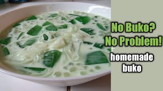 how to make buko pandan salad without buko  No Buko Buko pandan Jelly Salad [upl. by Betteann465]