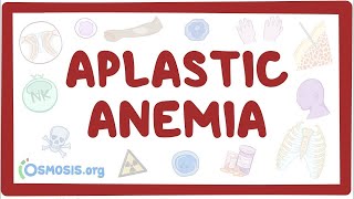 Aplastic anemia  an Osmosis Preview [upl. by Duahsar783]