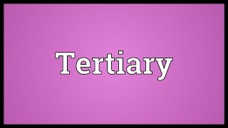 Tertiary Meaning [upl. by Aeneas73]