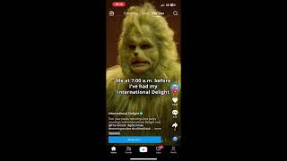 International Delight Creamer  Grinch TikTok Ads 2023 [upl. by Atalya282]