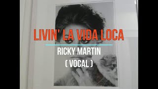 KARAOKE Livin La Vida Loca Ricky Martin Vocal [upl. by Joappa844]