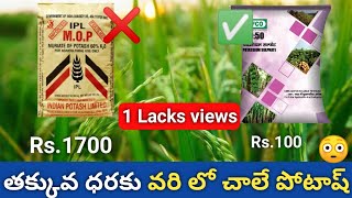 తక్కువ ధరలో పోటాష్  0 0 50 potash fertilizer uses in rice  Potash fertlizer price [upl. by Nnaynaffit]