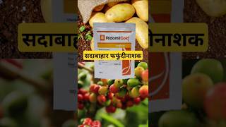 हर तरीके से उपयोग होने वाला शानदार fungicide [upl. by Eiramlatsyrk]