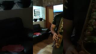 VELHA INFÂNCIA  TribalistasMarisa Montesaxophone saxofonista saxophone🎷 saxofone saxalto [upl. by Idnek]