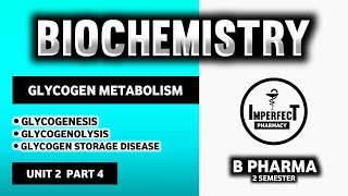 Glycogen Metabolism Pathway  Glycogenesis  Glycogenolysis  Glycogen Storage Disease  B Pharma [upl. by Peregrine]