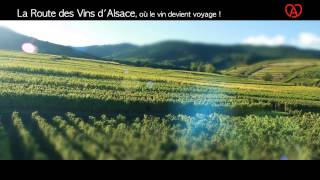 La Route des Vins dAlsace [upl. by Von]