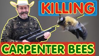 Kill 🐝🔫 Carpenter Bees FAST amp EASY Stop these Huge Flying Destroyers of Wood and Kill ALL Newcomers [upl. by Errised]