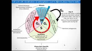 ANTI CANCER PHARMACOLOGY [upl. by Hajar582]