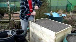 Allotment Diary  How to grow Giant Exhibition Long Carrots amp Parsnips [upl. by Norby]