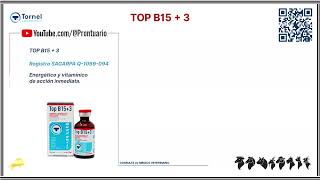 TOP B153 [upl. by Labotsirc]