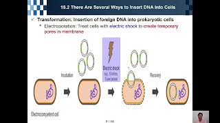 Biology Chapter 18 [upl. by Dreda]