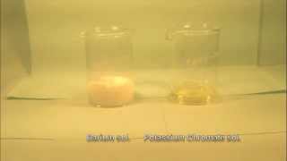 Reaction of Barium solution with Potassium chromate solution [upl. by Werby]