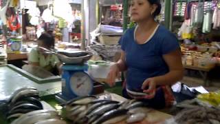 Cauayan Fish Market [upl. by Ardnaid935]