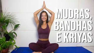 MUDRAS BANDHAS E KRIYAS  O QUE SÃƒO  EP 5 VAMOS PRATICAR YOGA [upl. by Nuahsar]