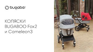 СРАВНЕНИЕ КОЛЯСОК BUGABOO FOX2 и CAMELEON3 [upl. by Evot]