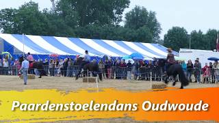 Paardenstoelendans Oudwoude [upl. by Bac923]