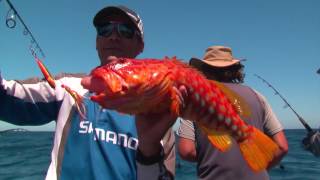 Perth Fishing TV Episode 3  Jigging vs Baits [upl. by Rennold444]